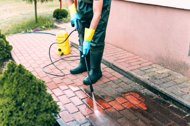 Best Playground Equipment Cleaning  in Hopkins, MN